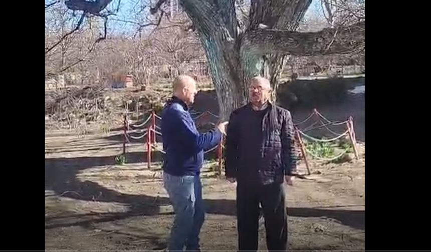 Kaman’ın Sessiz Tanığı: 400 Yıllık Ceviz Ağacı Tarihe Meydan Okuyor!