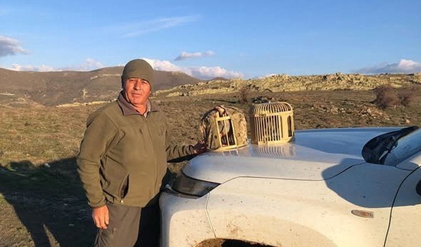 Kırşehir’de Kaçak Avcılık Ekipmanları Ele Geçirildi