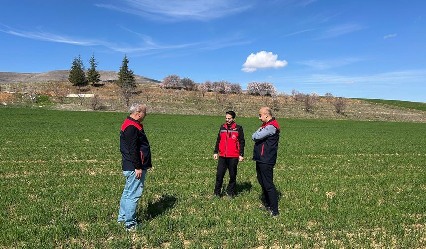 Kırşehir’de Ürün Gelişimi Yerinde İnceleniyor