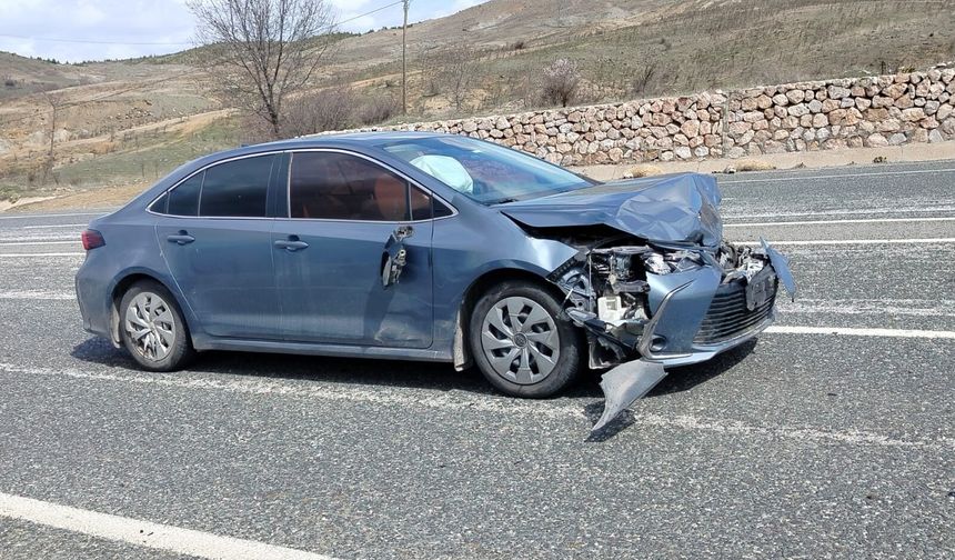 Otomobil koyun sürüsüne daldı: 9 koyun telef oldu