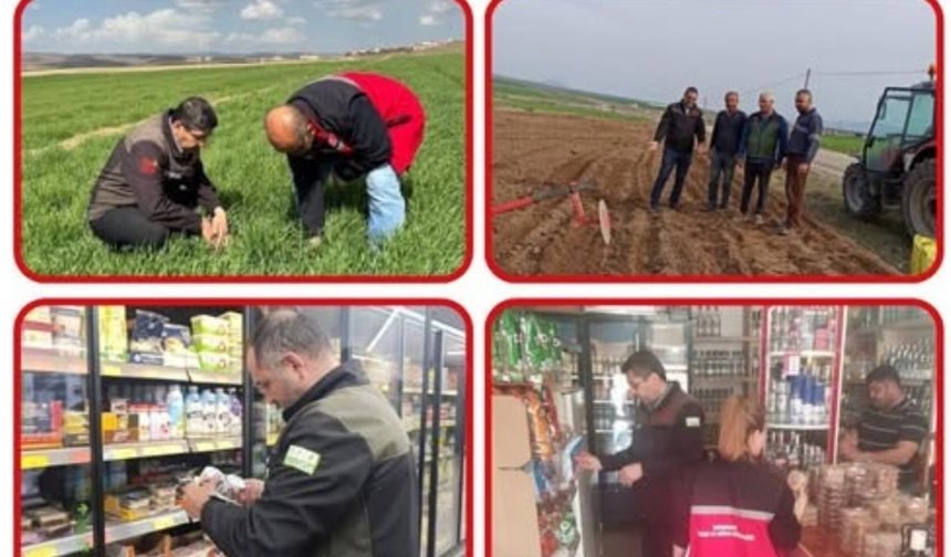 Kaman ve Akpınar'da Arazi ve Gıda Kontrolleri Devam Ediyor