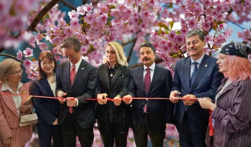 Kırşehir Kaman’da Sakura Festivali Açılışı Yapıldı