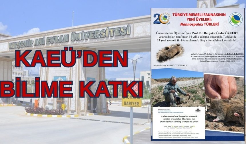 Anadolu’da 17 Yeni Tür Ortaya Çıkarıldı