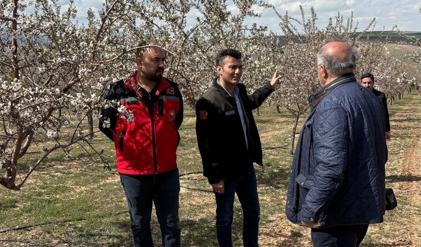 Kırşehir’de Don Alarmı: Ekipler Seferber