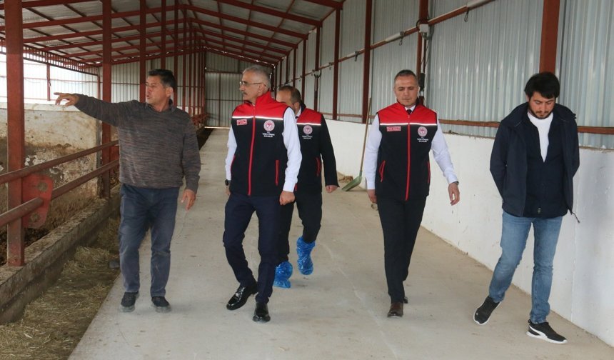 İl Müdürü Taş’tan Hayvancılık İşletmesinde İnceleme