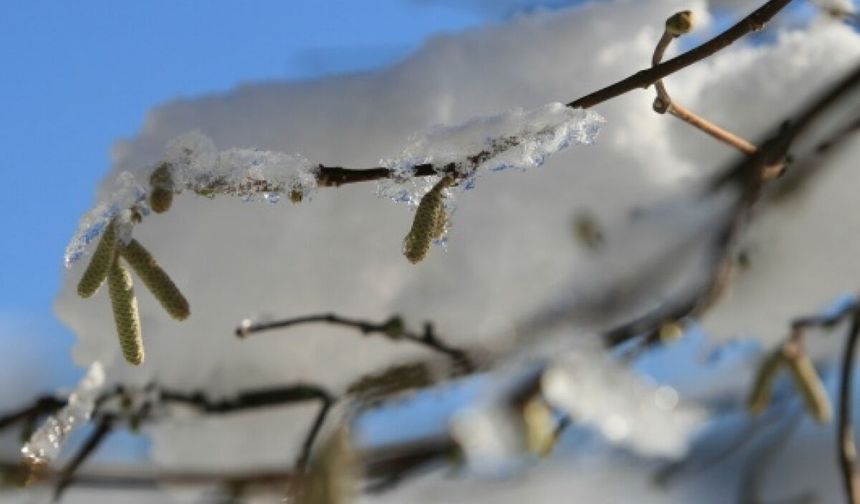Tarım İl Müdürlüğü’nden Kritik Uyarı
