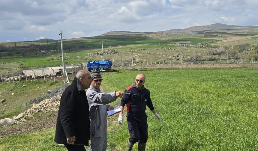 Kaman’da Portatif Ağıl Projesi İçin Saha İncelemesi