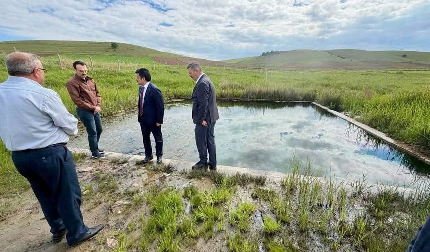 Kırşehir'de Uyuz Hamamı İçin Harekete Geçildi