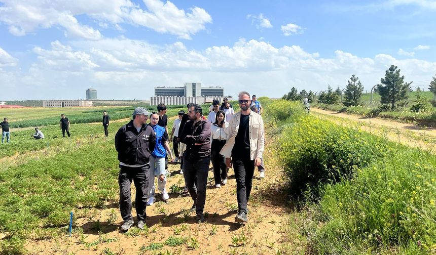 Kırşehir Gençlik Merkezi’nden Öğrencilere Tıbbi ve Aromatik Bitki Eğitimi