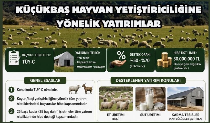 Küçükbaş Hayvancılık Yatırımlarına Destek Başladı