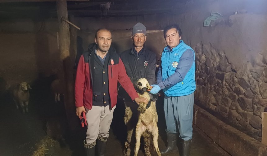 Kırşehir’de Hafta Sonu da Sahada Yoğun Mesai