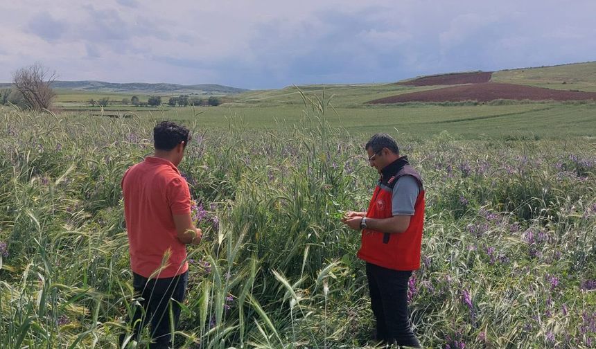 Kırşehir'de Bitkisel Üretim İçin Yoğun Mesai