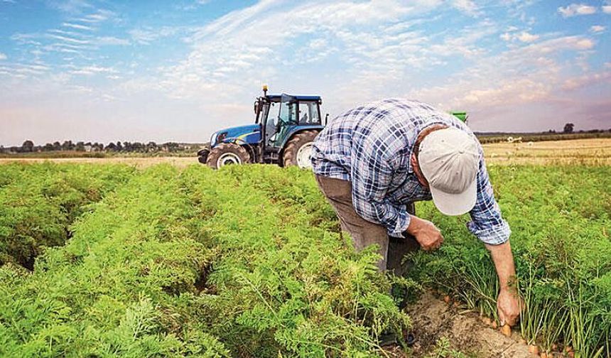 Boztepe'de 2026 Yılı Tarım İşçilik ve Balya Ücretleri Belirlendi