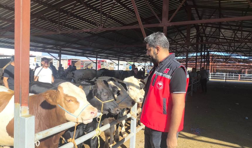 Kırşehir Canlı Hayvan Pazarı’nda Hafta Sonu Sıkı Denetim