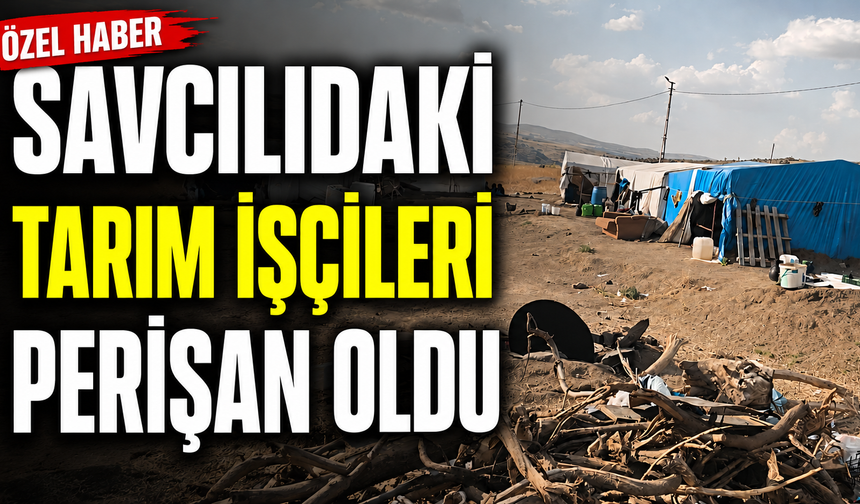 Kaman'daki Tarım İşçileri Yardım Bekliyor