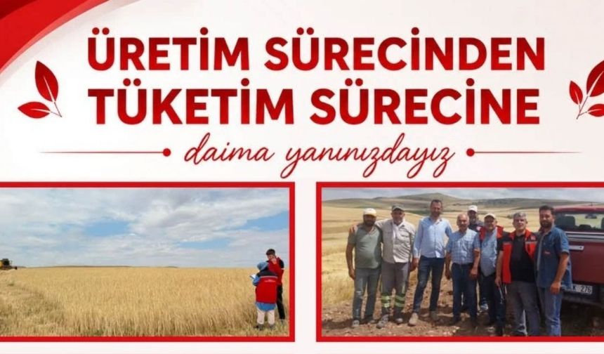 Kırşehir Tarım Sahadaki Çalışmalarını Sürdürüyor