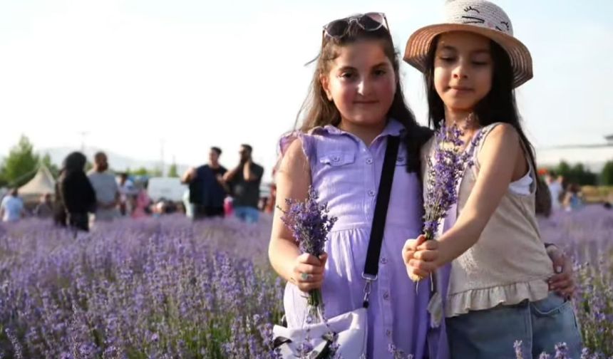 Koku Vadisi’nde lavanta ve pilav şenliği coşkusu