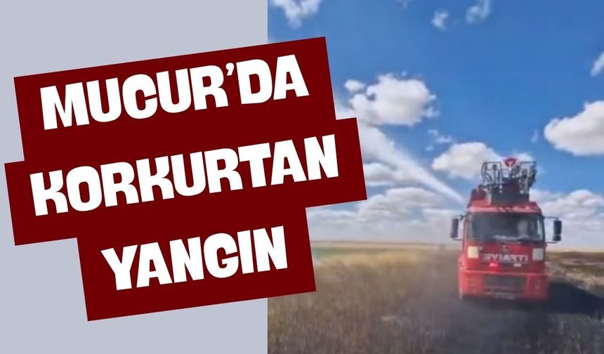 Budak Köyü'ndeki Yangın Kısa Sürede Kontrol Altına Alındı