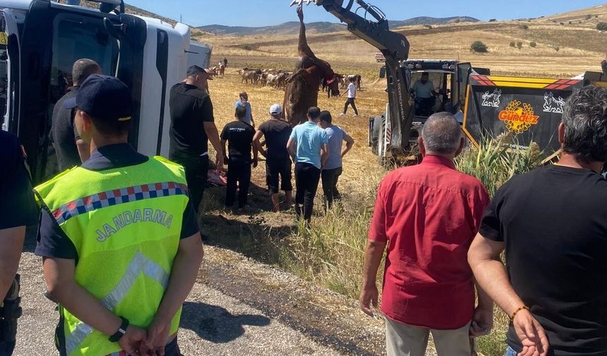 Boztepe'de hayvan yüklü tır yan yattı