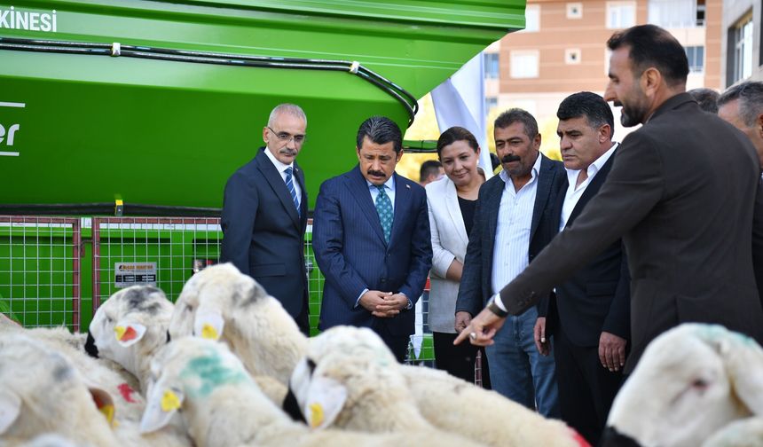 KIRŞEHİR’DE ÜRETİCİLERE 100 DAMIZLIK KOÇ DESTEĞİ