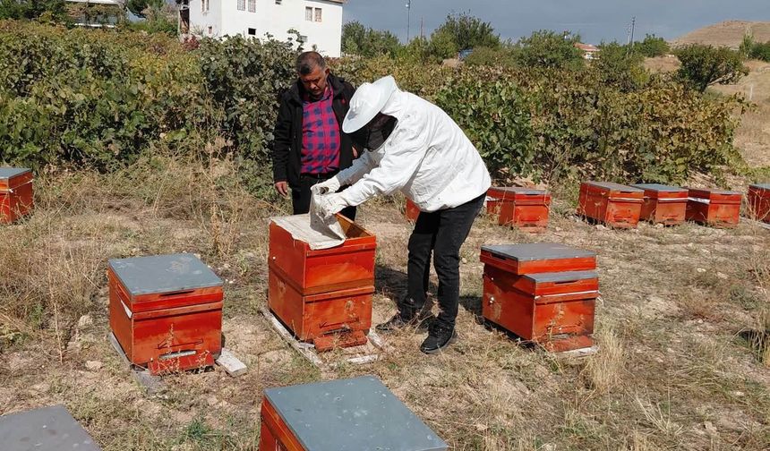 Hayvan sağlığı için denetimler sürüyor
