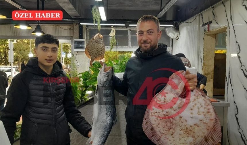 Kırşehir’de Balık Tezgâhlarında Hareketlilik: Fiyatlar ve Çeşitler Merak Ediliyor