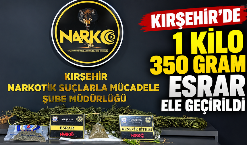 Kırşehir’de Uyuşturucu Operasyonu: 1 Tutuklama