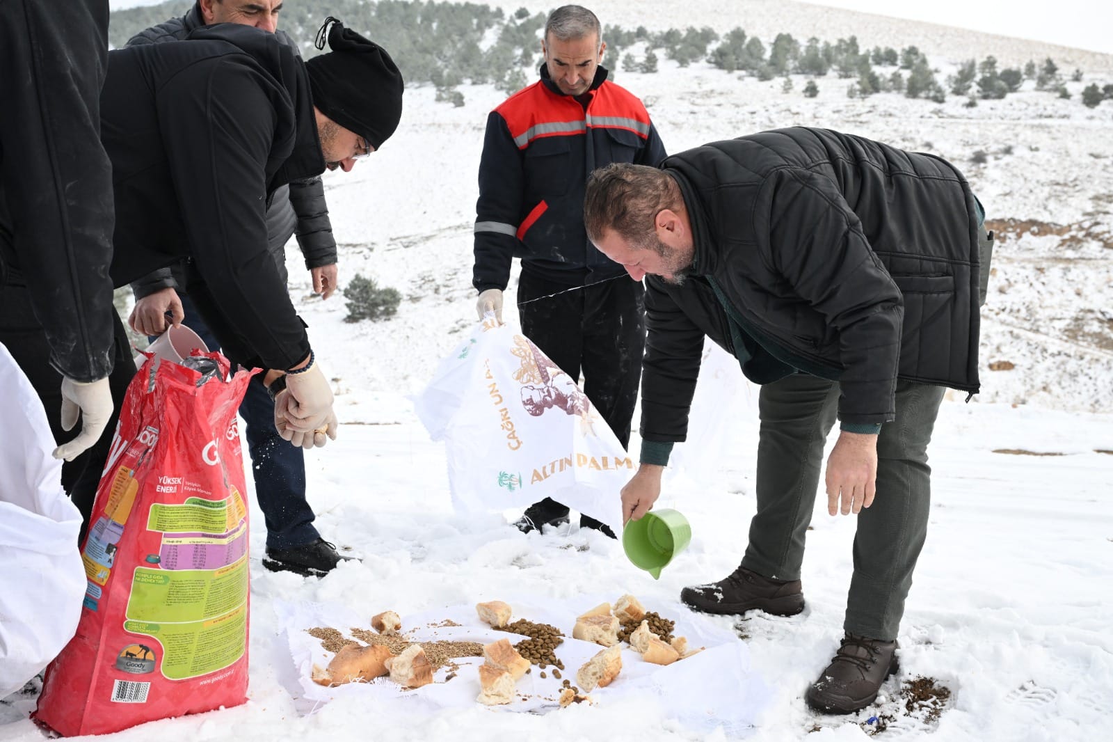 Belediye Soksk Hayvanları 1