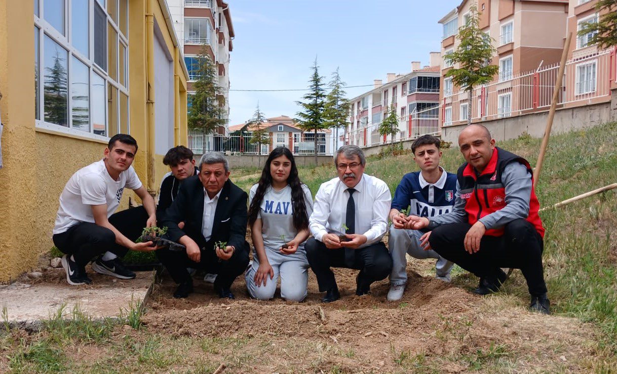 Tarım 4