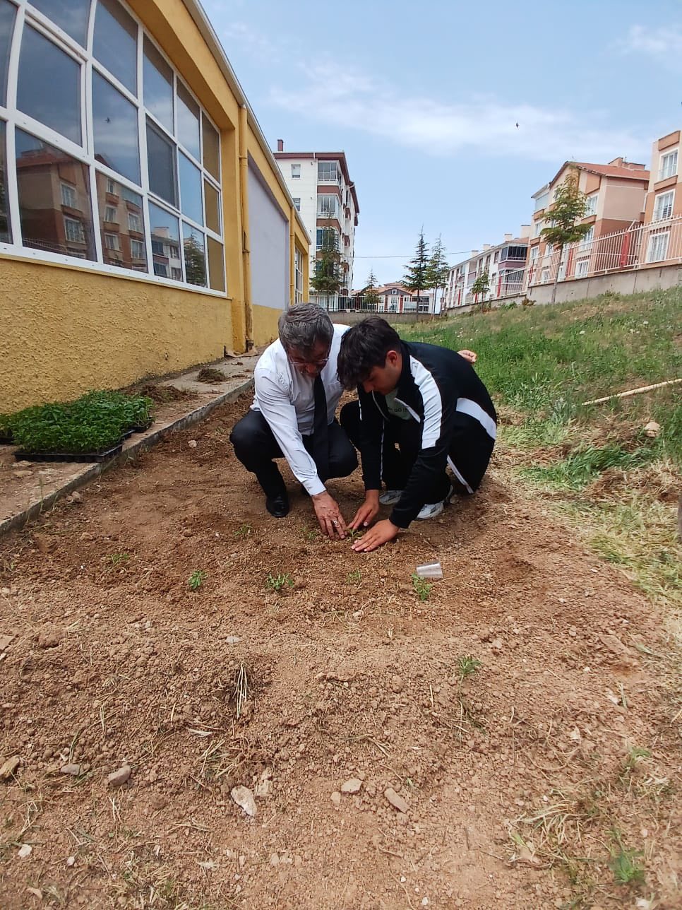 Tarım 5