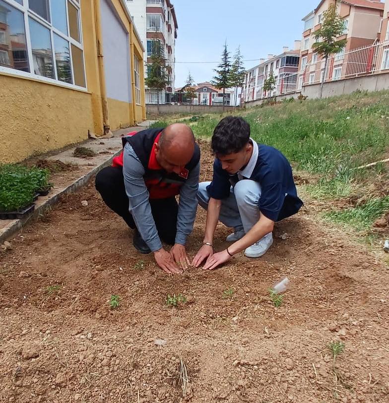Tarım2-4