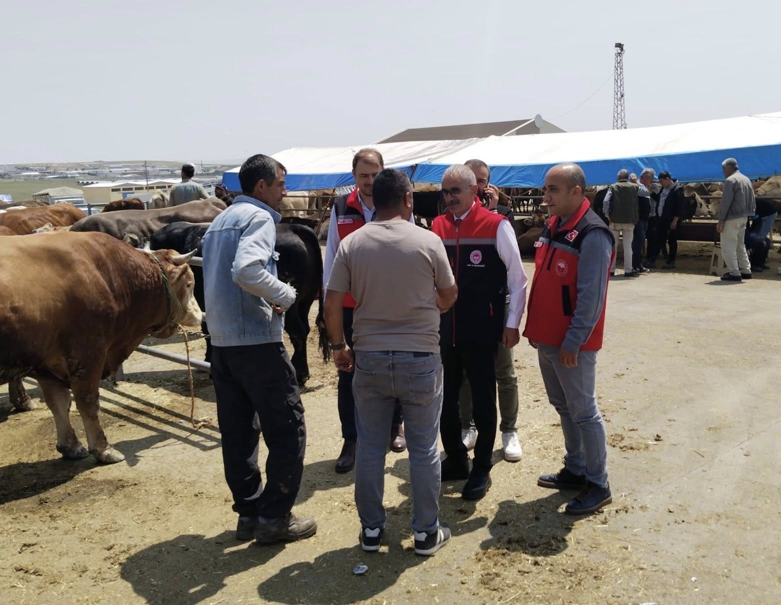 Tarım2-6