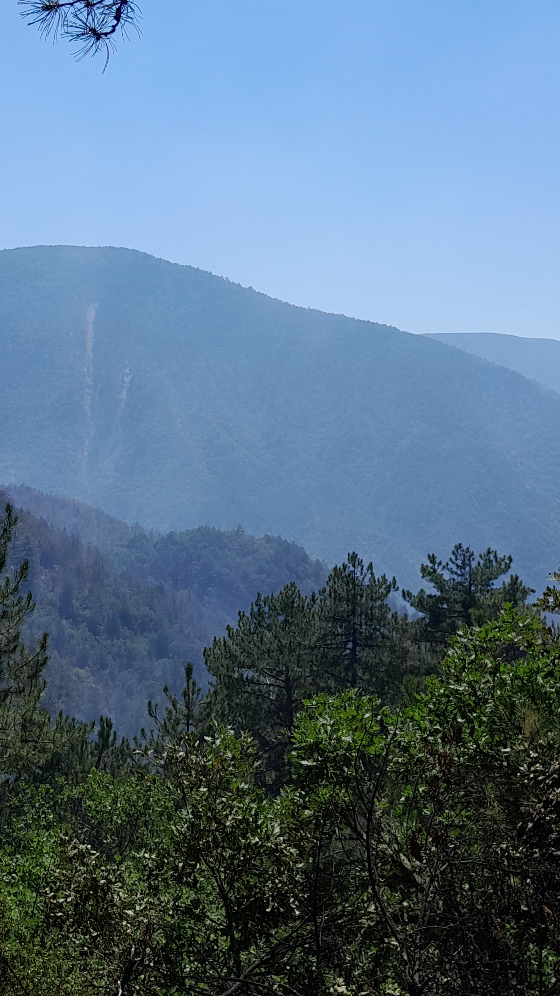 Yangın-2