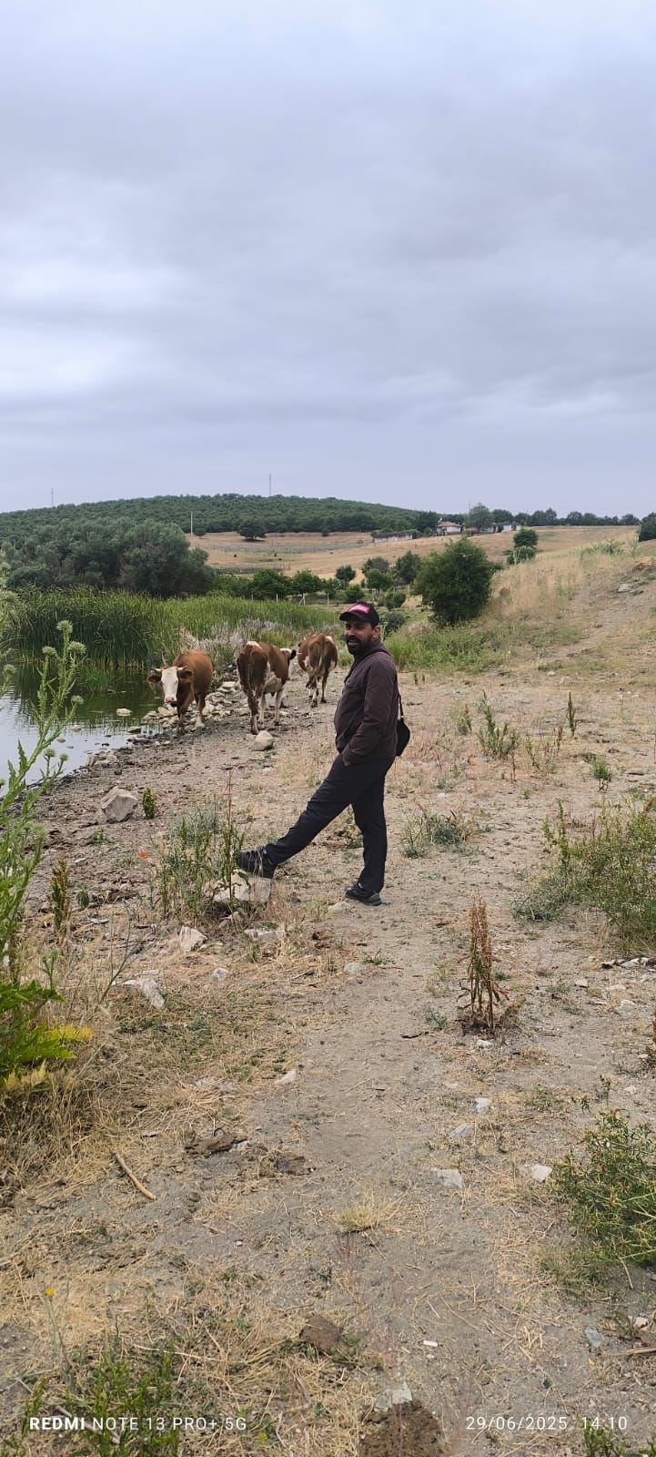 Şahi̇n Köşe