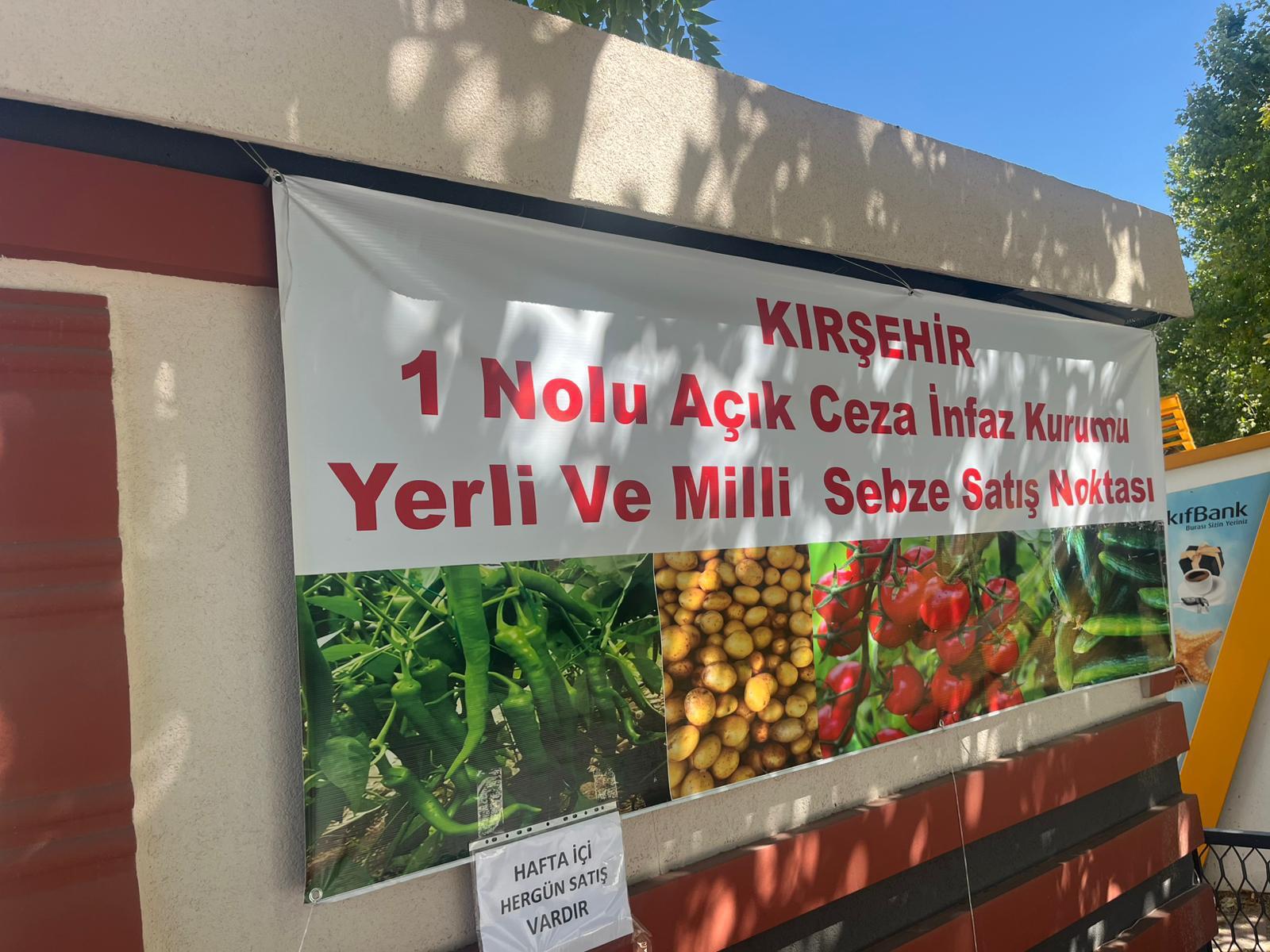Adliye4