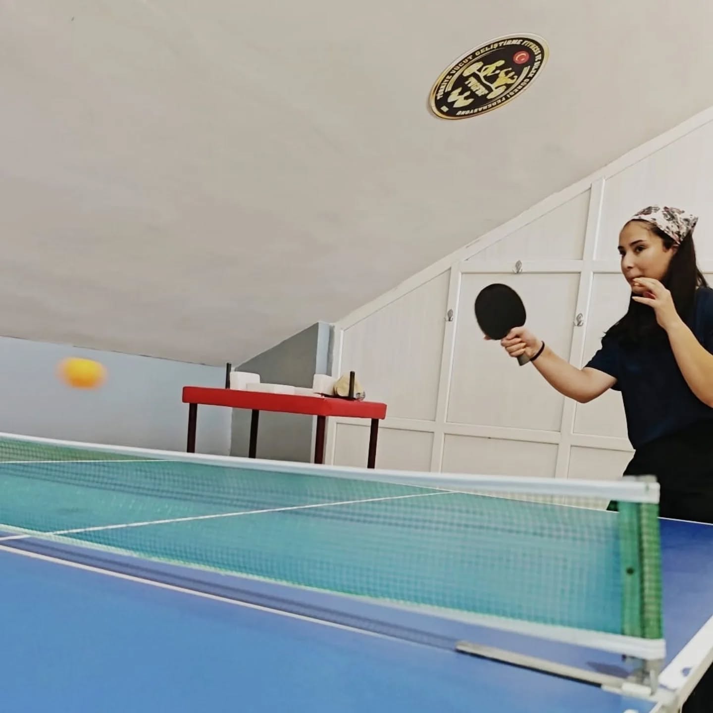 Tenis2