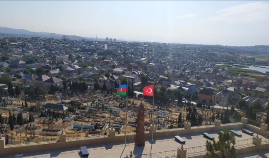 Şekil 1