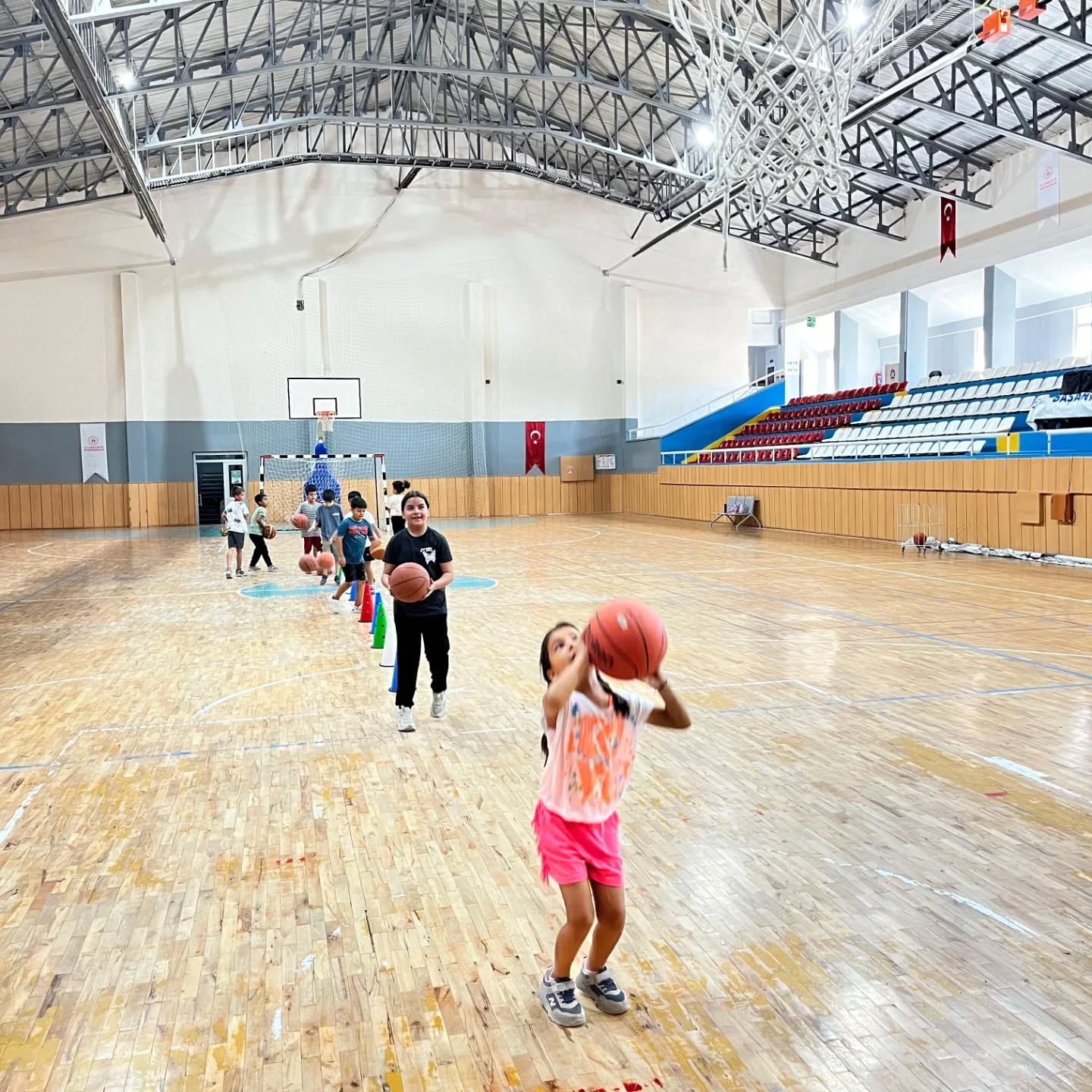 Basket-2