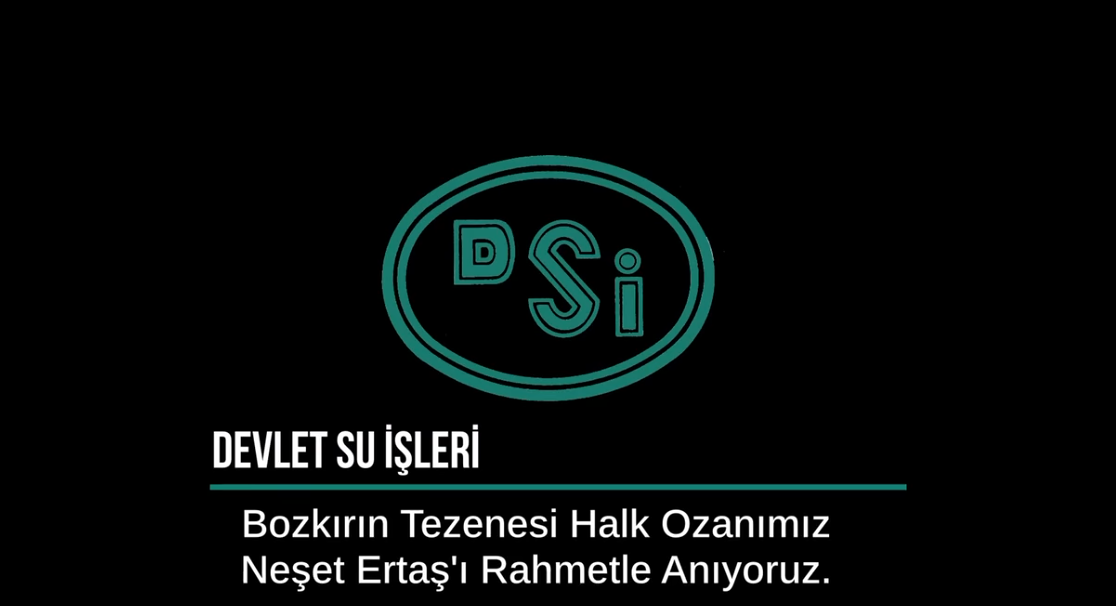 Dsii