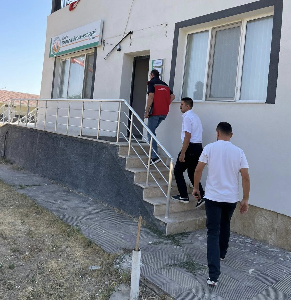 Tarım-29