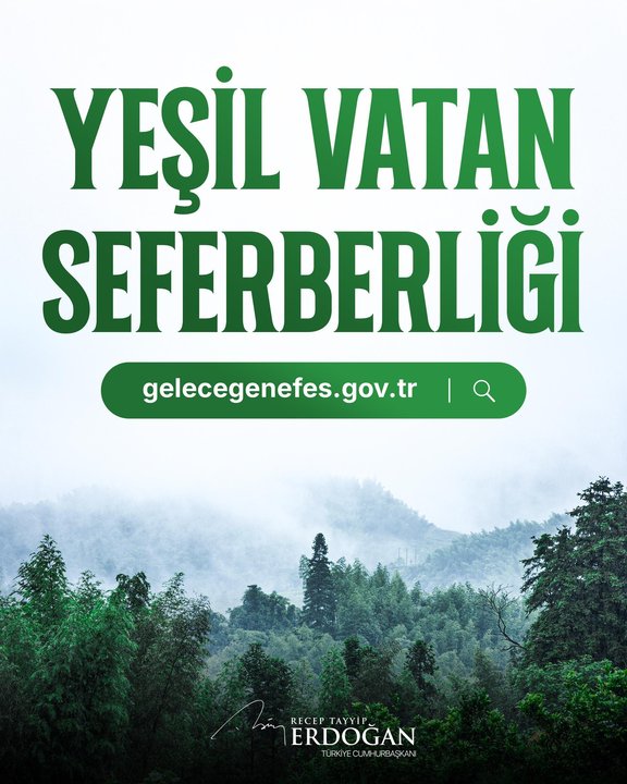 2025 9 Ysil