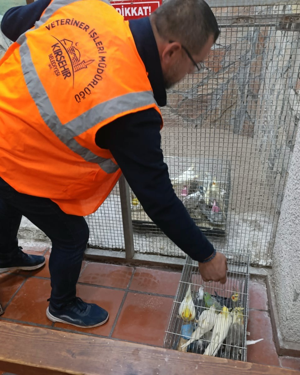 570438665 1264025269102737 6289038389562662521 N