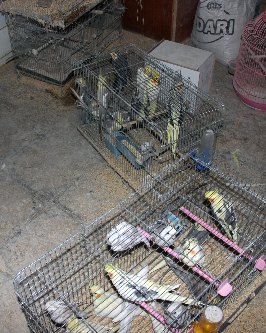 571259875 1264026732435924 3693302672705569183 N