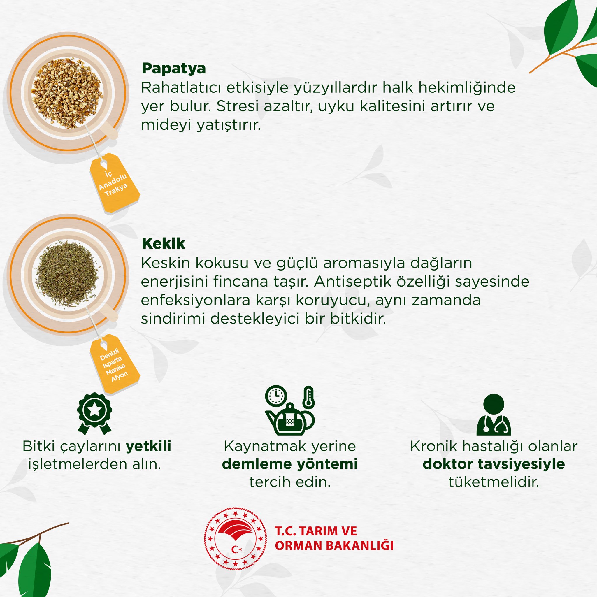 571381191 1167544182219803 3252296501410959011 N