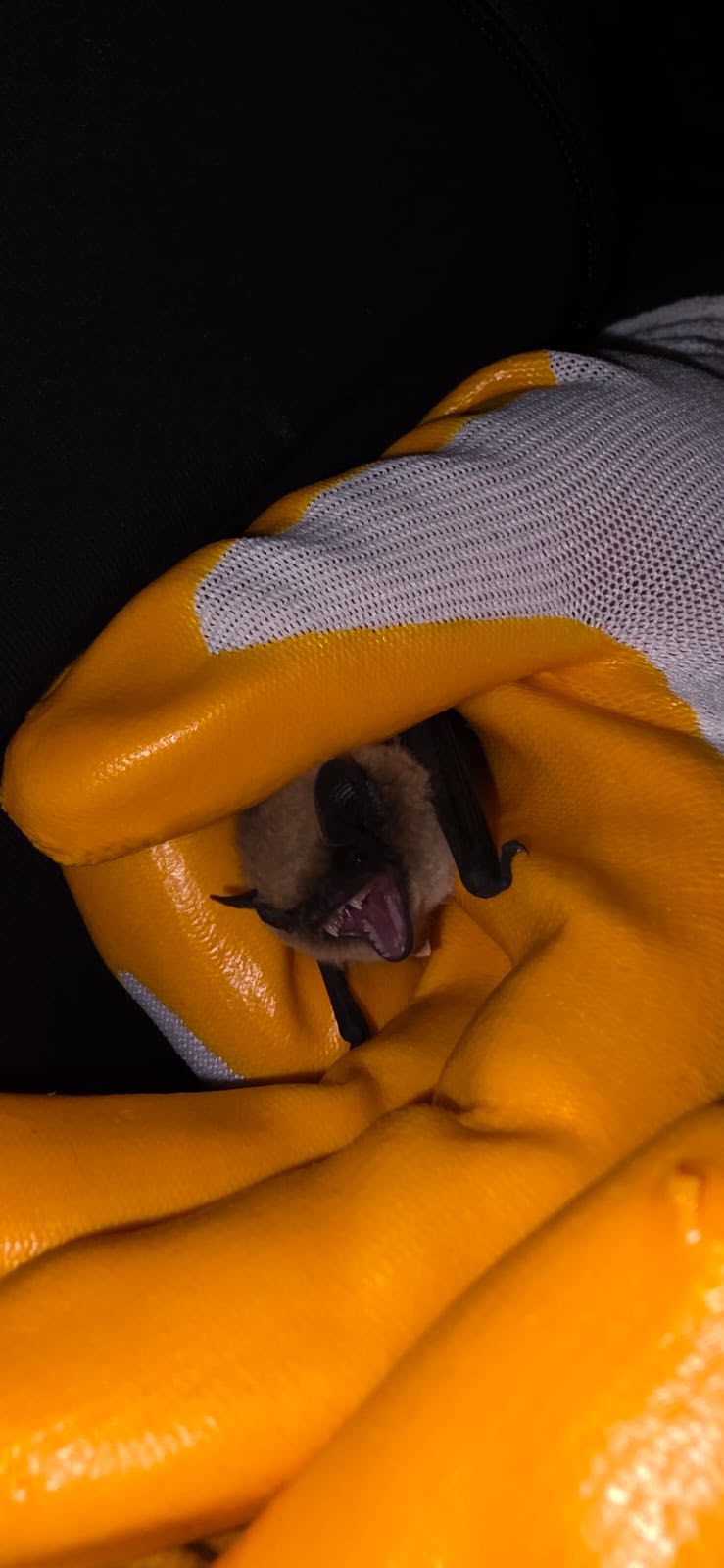 571653557 1133331348910753 765863005857967714 N