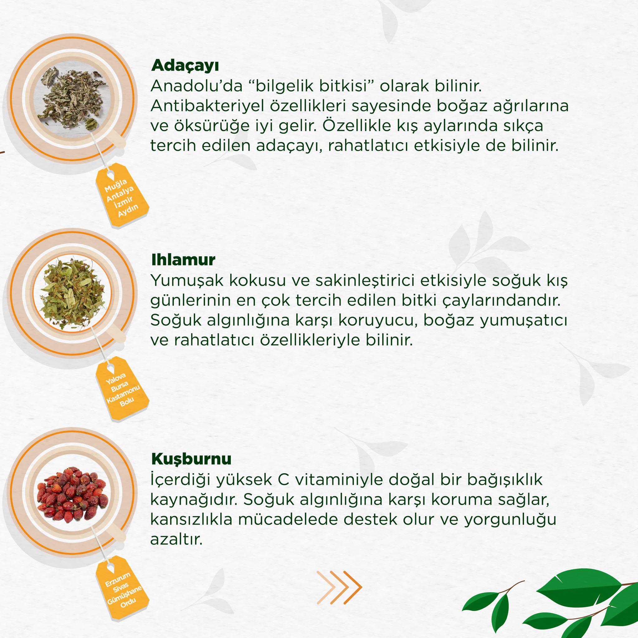 572159228 1167544125553142 1632182362201900228 N