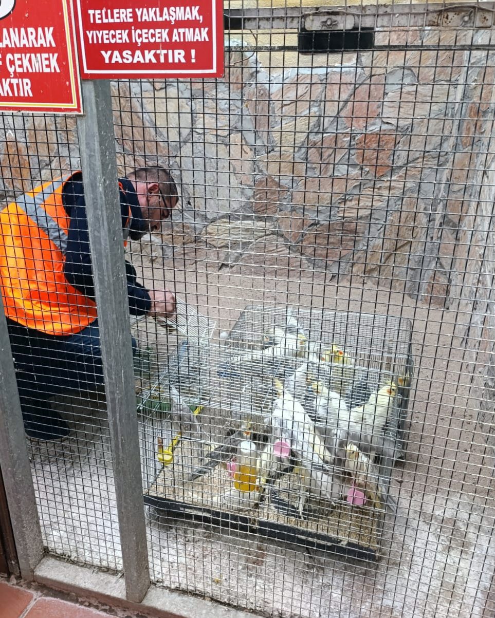 572763718 1264025282436069 3941051932093336591 N