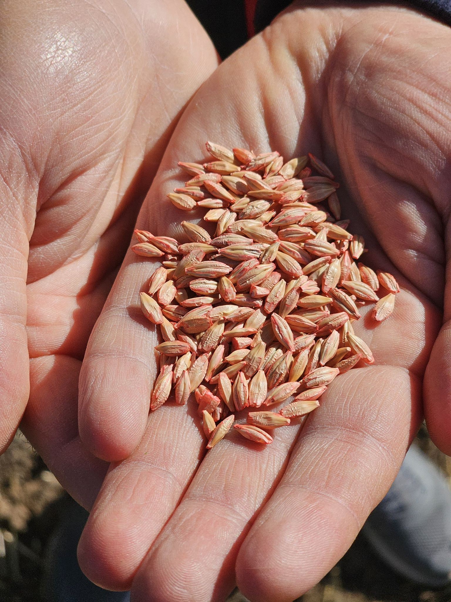 573520038 830392792798819 6268095480860039258 N