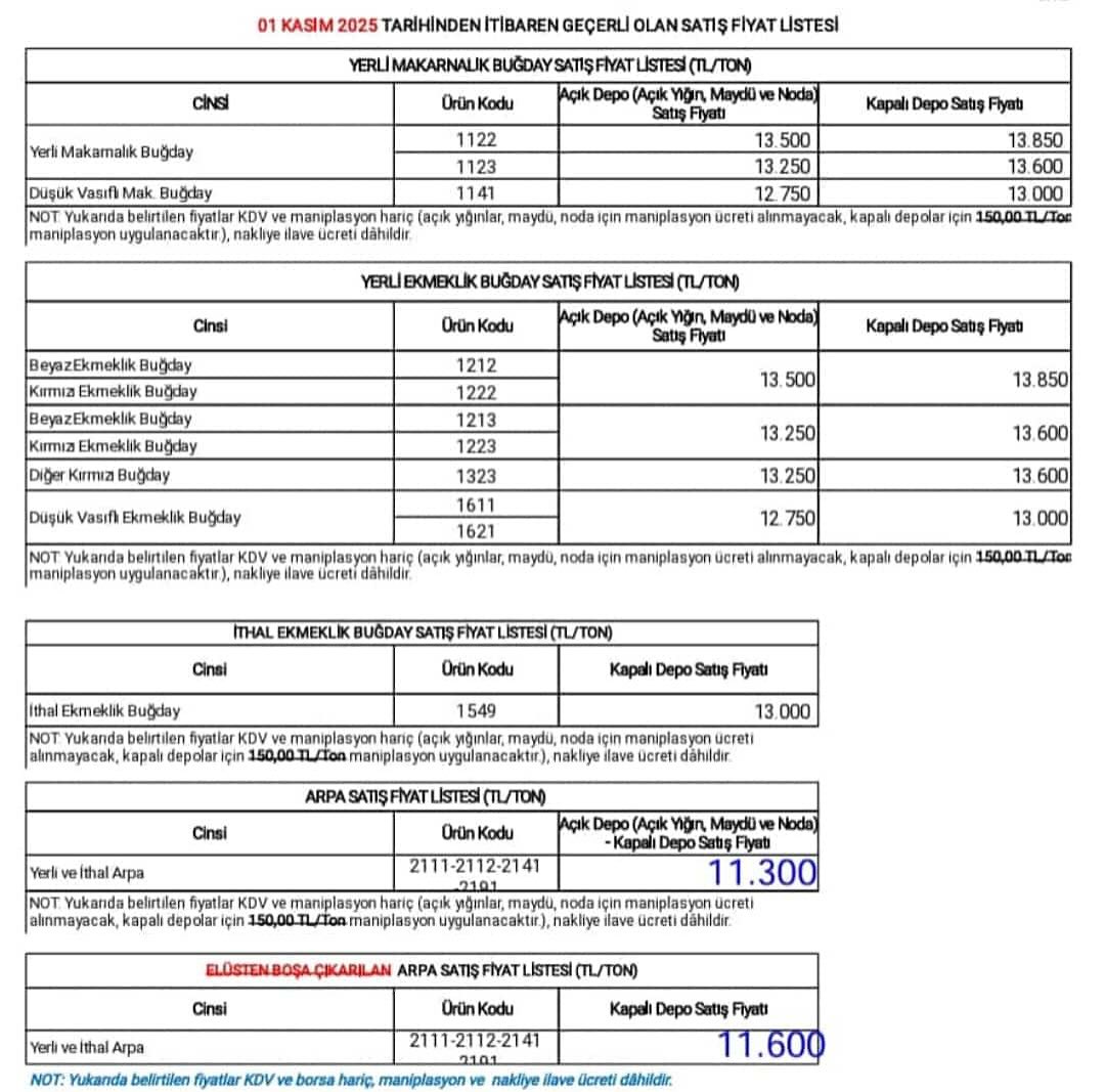 573700658 18105603172720188 5332210070708908448 N