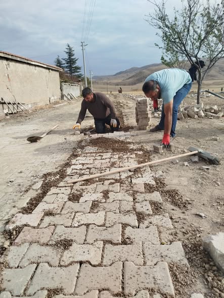 574398913 1455144516613499 7785068495675473238 N